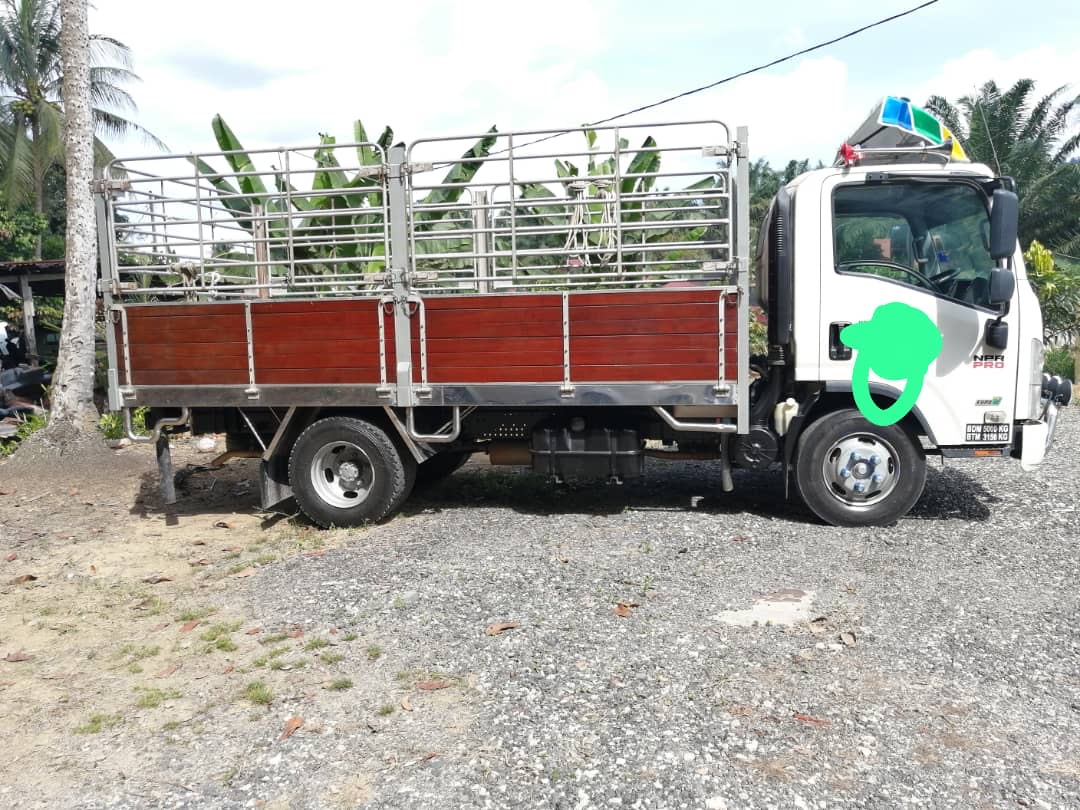 Isuzu NPR Pro 14ft 4.6cc - Image 1