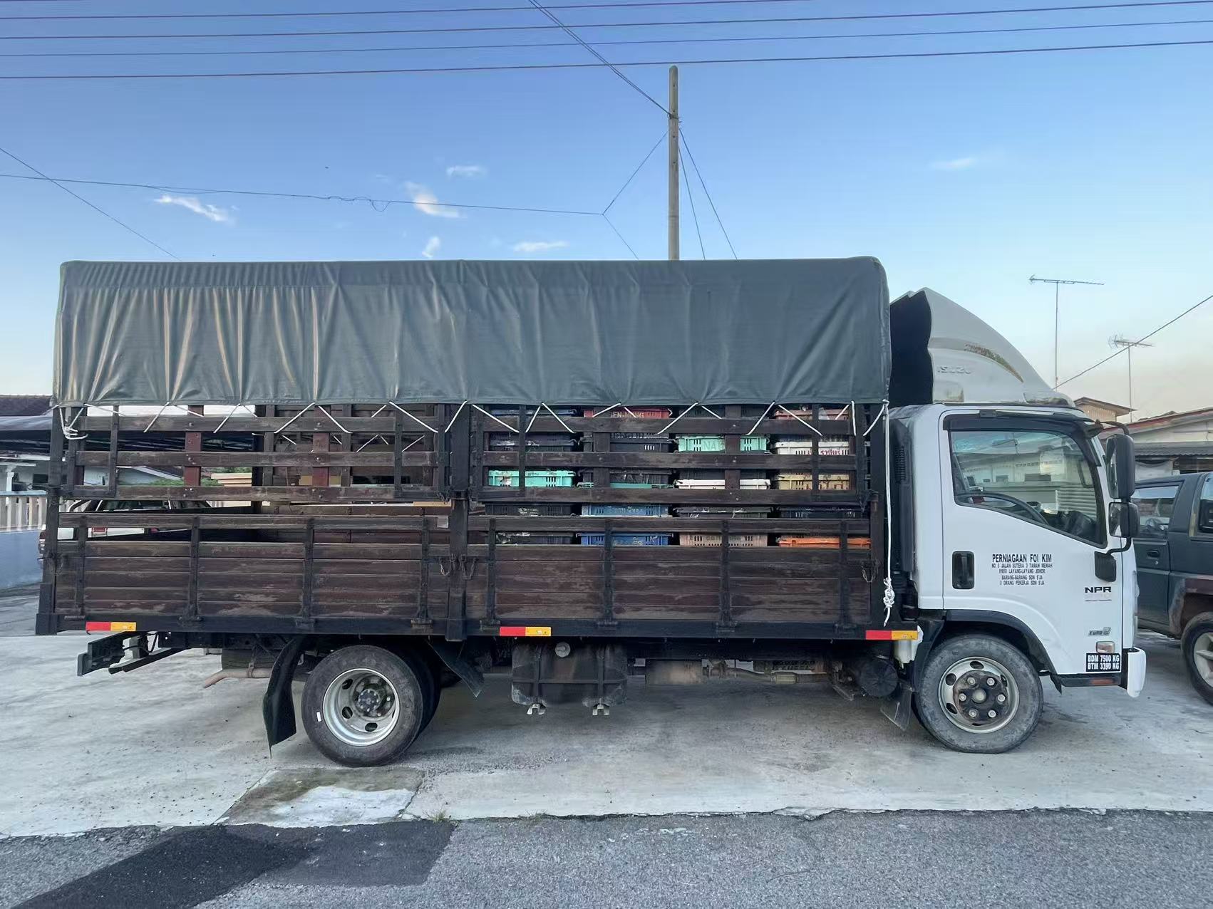 2018 Isuzu NPR 81 UKH 7,500kg - Thumbnail 2